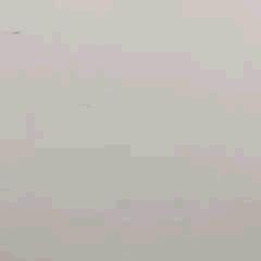 DƬ